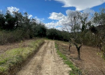 b1845142-15b7-4e6a-8c43-4f2e8dd3a294.jpg - Casale C.DA CASTELLANA, Treglio - foto 13