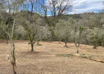 038146d8-3754-4bdb-b6c2-f73a69ae000f.jpg - Casale C.DA CASTELLANA, Treglio - foto 14