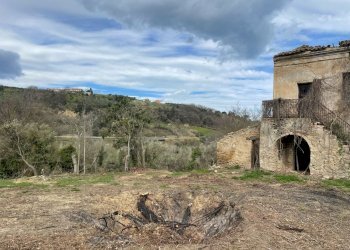 7a893c4b-deaf-4ad6-818d-702f7f9ba079.jpg - Casale C.DA CASTELLANA, Treglio - foto 15