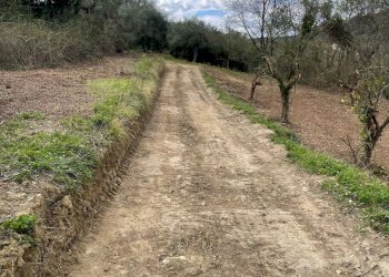 14ae79e1-774f-404b-9087-1f57ea71ebcd.jpg - Casale C.DA CASTELLANA, Treglio - foto 16