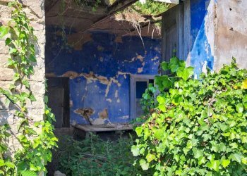 93433bfa-9eed-416d-8db4-3ddc07de0842.jpg - Casale C.DA CASTELLANA, Treglio - foto 19