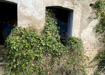 d6c00052-ba3a-4ed2-a0bc-9ad73621415c.jpg - Casale C.DA CASTELLANA, Treglio - foto 28