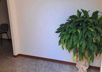 922bc0e1-cedc-4cac-a2d5-84e3f0cd56b2.jpg - Ufficio VIA PER LANCIANO 52, Santa Maria Imbaro - foto 10