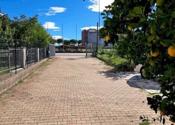 8fb2c86b-8e37-45d6-842e-6563727324fe.jpg - Ufficio VIA PER LANCIANO 52, Santa Maria Imbaro - foto 24