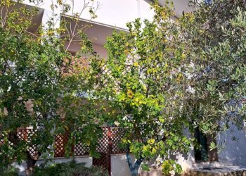 75edcd78-d2d8-4a7f-bddd-e46906e37cf4.jpg - Attic Contrada Santa Croce 164, Lanciano - photo 2