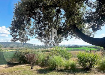 casale il fischio 17-1.jpg - Casale Via dei Partigiani, Castiglione del Lago - foto 22