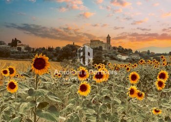 casale farnetta 23.jpg - Casale Vocabolo Pennicchia, Montecastrilli - photo 8