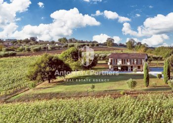 casale farnetta 26.jpg - Casale Vocabolo Pennicchia, Montecastrilli - photo 23