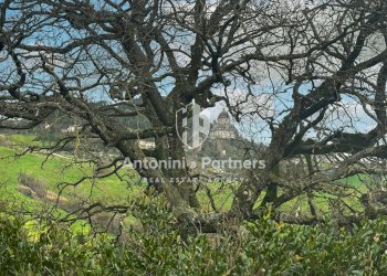 villa elena todi 22.jpg - Villa Piazza del Popolo, Todi - foto 24