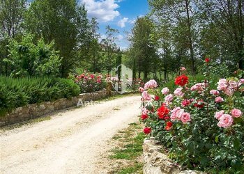 casale le tortore 20.jpg - Casale Piazza del Popolo, Todi - foto 9
