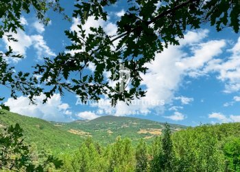 villa oliva 13.jpg - Villa Strada Statale 448, Todi - foto 23