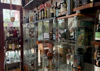 WhatsApp Image 2025-03-28 at 12.59.04 (2).jpeg - Pub - Wine Bar Via Borghesiana, Roma - photo 5