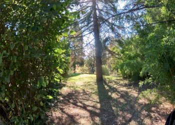 IMG_20251013_124818_10_678_PureShot.jpg - Villa Strada Comunale Campo Maggiore 10, Rignano Flaminio - foto 4