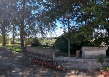 IMG_20251013_131656_10_739_PureShot.jpg - Villa Strada Comunale Campo Maggiore 10, Rignano Flaminio - foto 21