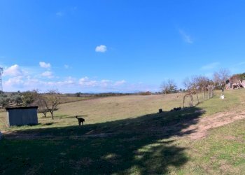 IMG_20251013_131900_10_741_PureShot.jpg - Villa Strada Comunale Campo Maggiore 10, Rignano Flaminio - foto 23