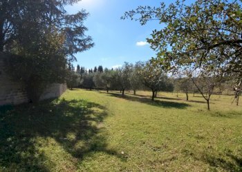 IMG_20251013_132012_10_742_PureShot.jpg - Villa Strada Comunale Campo Maggiore 10, Rignano Flaminio - foto 24