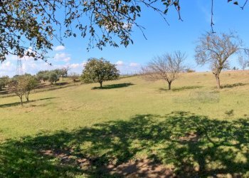 IMG_20251013_132050_10_744_PureShot.jpg - Villa Strada Comunale Campo Maggiore 10, Rignano Flaminio - foto 26