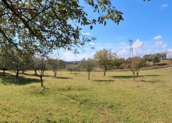 IMG_20251013_132113_10_745_PureShot.jpg - Villa Strada Comunale Campo Maggiore 10, Rignano Flaminio - foto 27