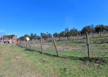 IMG_20251013_132241_10_748_PureShot.jpg - Villa Strada Comunale Campo Maggiore 10, Rignano Flaminio - foto 29