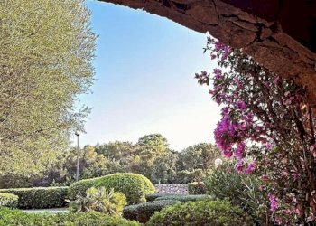 243122.jpg - Bilocale Via della Bilancia 10, Olbia - foto 2