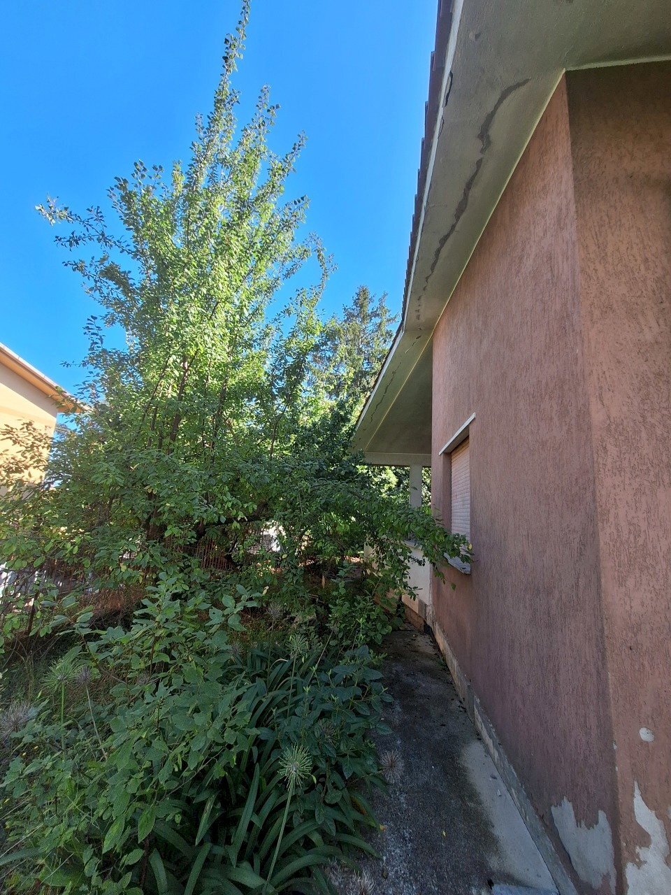 20250911_154525.jpg - Villa Via Giotto 9, Morlupo - foto 2