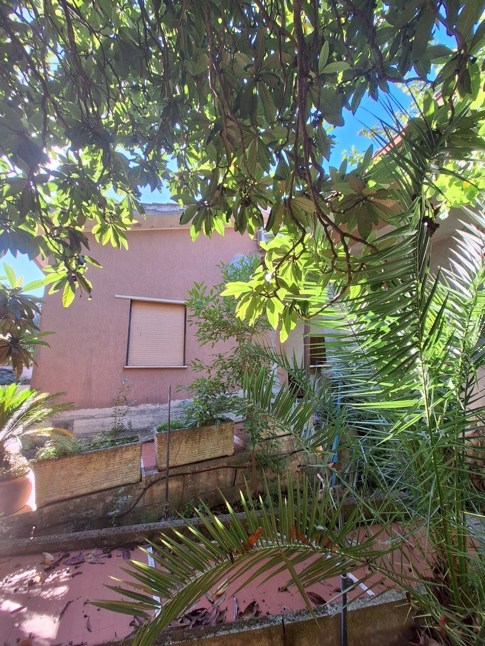 20250911_154608.jpg - Villa Via Giotto 9, Morlupo - foto 3