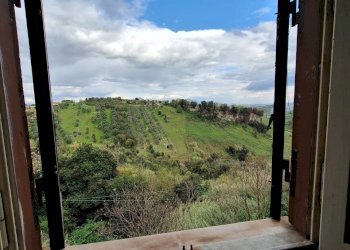 20250402_170611.jpg - Locale Commerciale Corso Umberto I 75, Morlupo - foto 6