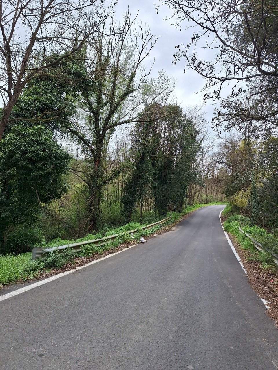 20250317_153520.jpg - Terreno agricolo Via della valle s.n.c, Morlupo - foto 1