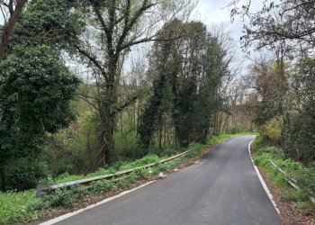 20250317_153520.jpg - Terreno agricolo Via della valle s.n.c, Morlupo - foto 1