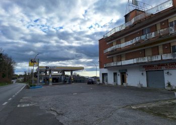 20250227_154341.jpg - Stable - Palace Via Flaminia 5, Morlupo - photo 6