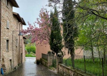 3-IMG-20240421-WA0008.jpg.jpg - Trilocale Via Folignate 1, Visso - foto 17