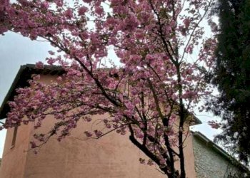 7-IMG-20240421-WA0010.jpg.jpg - Trilocale Via Folignate 1, Visso - foto 11