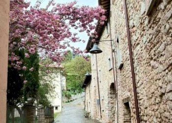 2-IMG-20240421-WA0011.jpg.jpg - Trilocale Via Folignate 1, Visso - foto 24