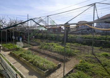GIARDINO - Villa Via Alcide de Gasperi 13/A, San Maurizio Canavese - foto 8