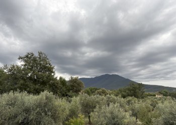 IMG_8093.jpg - Apartment strada di stazzano vecchio, Palombara Sabina - photo 16