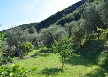 giardino - Villa SP334 317, Albisola Superiore - foto 7