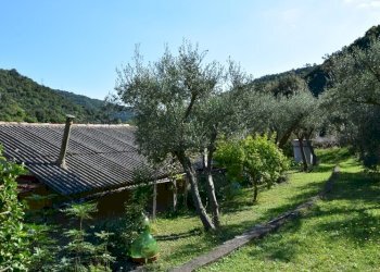 giardino - Villa SP334 317, Albisola Superiore - foto 8