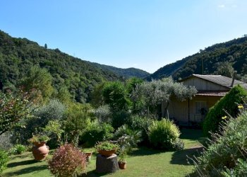 giardino - Villa SP334 317, Albisola Superiore - foto 9