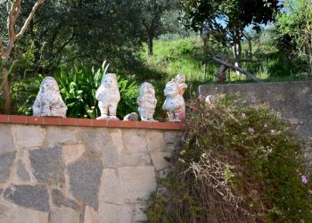 giardino - Villa SP334 317, Albisola Superiore - foto 13