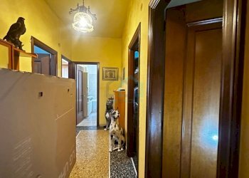 corridoio - Quadrilocale Via Filippo Turati 17, Savona - foto 2