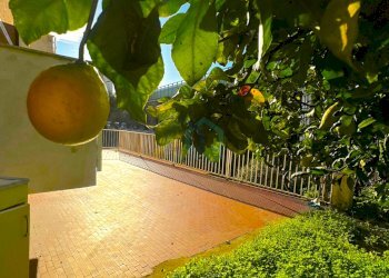 terrazza - Trilocale Via Nicolò Sardi 30, Varazze - foto 13