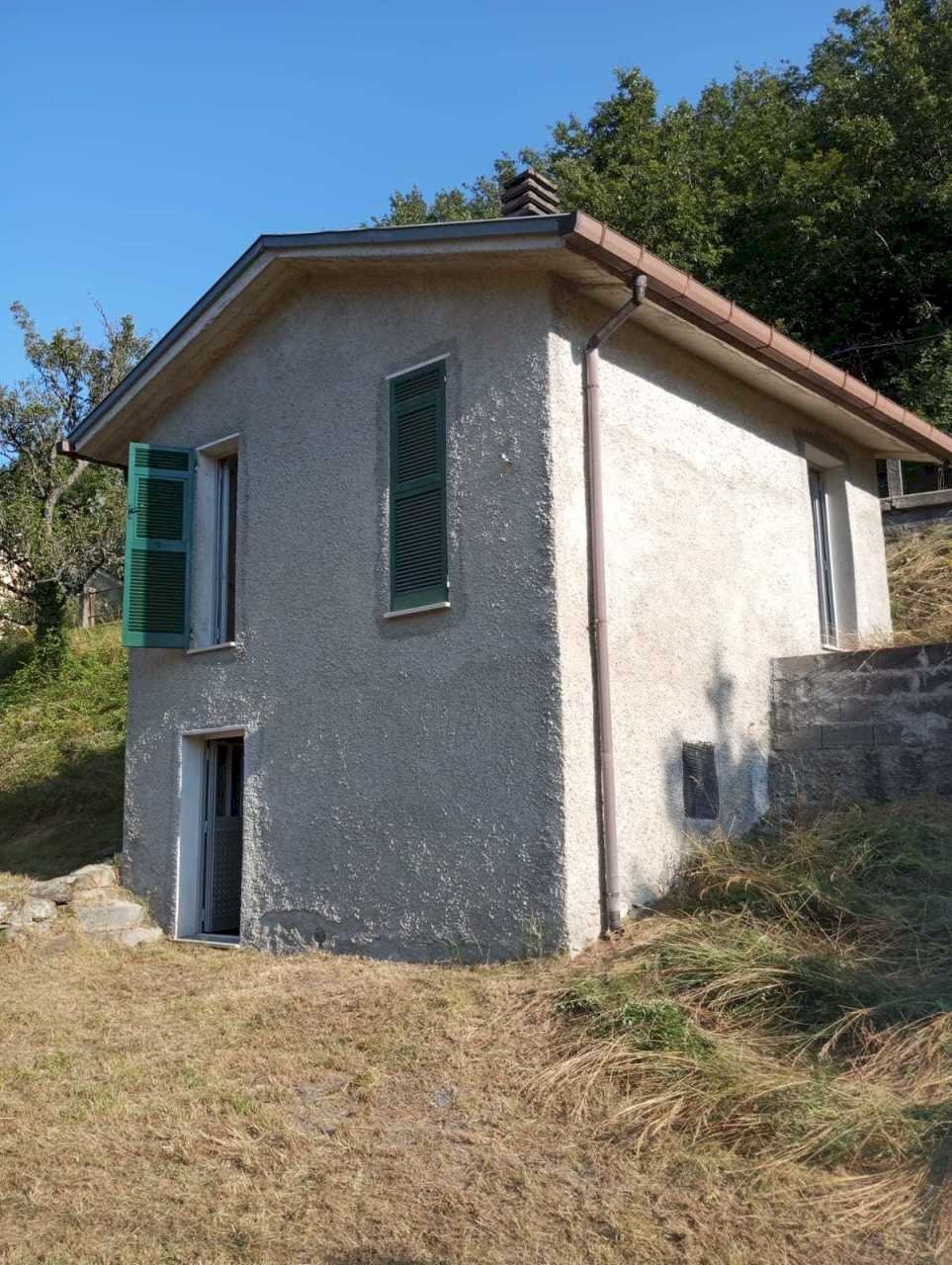 IMG-20250805-WA0018.jpg - Rustico Tornolo - foto 1