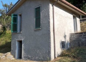 IMG-20250805-WA0018.jpg - Rustico Tornolo - foto 1