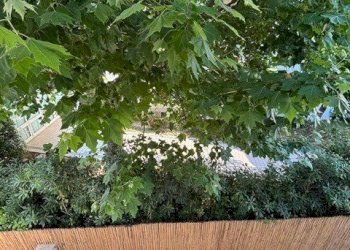 PHOTO-2025-08-27-10-37-2441.jpg - Appartamento Via Mazzini, Camaiore - foto 18