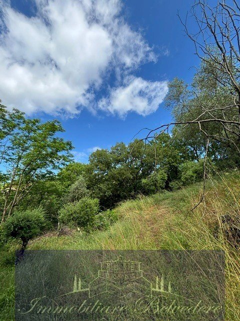 PHOTO-2025-07-16-10-30-221.jpg - Building land Via degli Imberta, Londa - photo 3