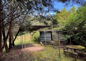 PHOTO-2025-07-16-10-30-21.jpg - Terreno edificabile Via degli Imberta, Londa - foto 1