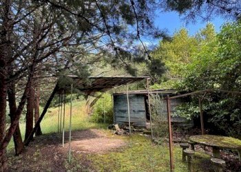 PHOTO-2025-07-16-10-30-22.jpg - Terreno edificabile Via degli Imberta, Londa - foto 2