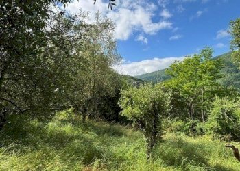 PHOTO-2025-07-16-10-30-222.jpg - Terreno edificabile Via degli Imberta, Londa - foto 4