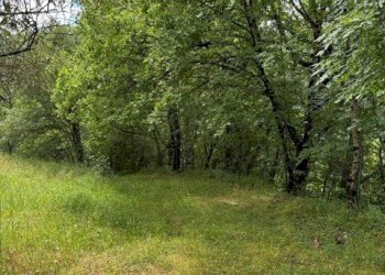 PHOTO-2025-07-16-10-30-227.jpg - Terreno edificabile Via degli Imberta, Londa - foto 6