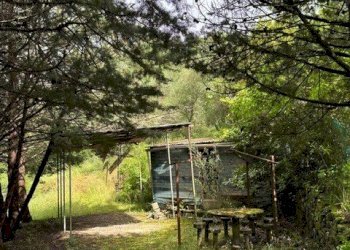 PHOTO-2025-07-16-10-30-228.jpg - Terreno edificabile Via degli Imberta, Londa - foto 7